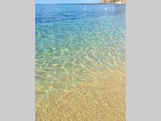 Attività commerciale in Vendita a Santa Maria del Cedro, 2'800'000€, 3500 m², arredato