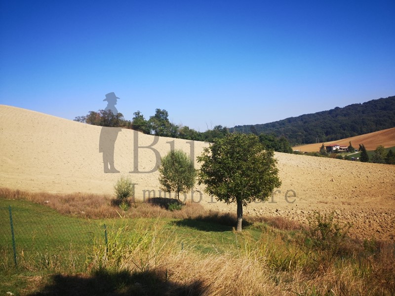 Terreno agricolo in Vendita a Sala Baganza, zona Talignano, 110'000€, 90000 m²