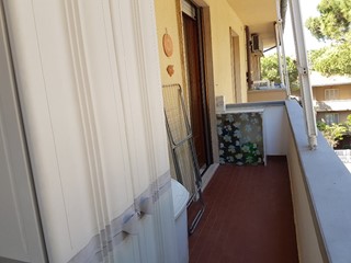Bilocale in Affitto a Rosignano Marittimo, 1'400€, 40 m²
