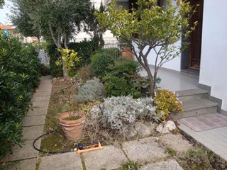 Quadrilocale in Affitto a Rosignano Marittimo, zona Vada, 1'900€, , arredato