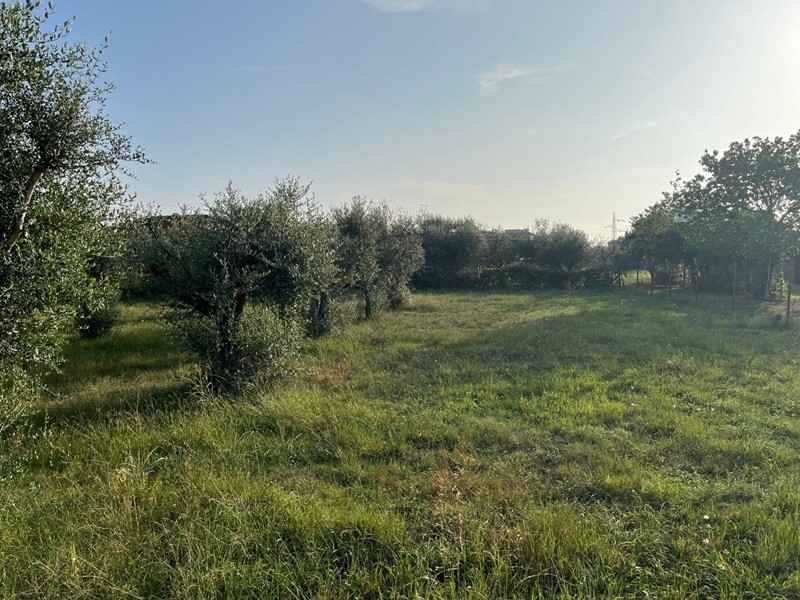 Terreno agricolo in Vendita a Massa, 80'000€, 2370 m²
