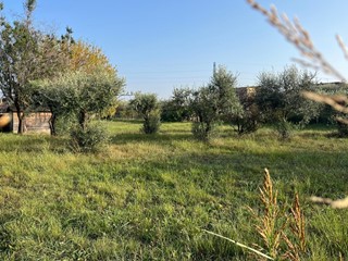Terreno agricolo in Vendita a Massa, zona Quercioli, 80'000€, 2370 m²