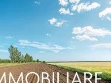 Terreno agricolo in Vendita a San Giuliano Terme, zona San Martino a Ulmiano, 20'000€, 5440 m²