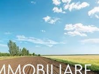 Terreno agricolo in Vendita a San Giuliano Terme, zona San Martino a Ulmiano, 20'000€, 5440 m²