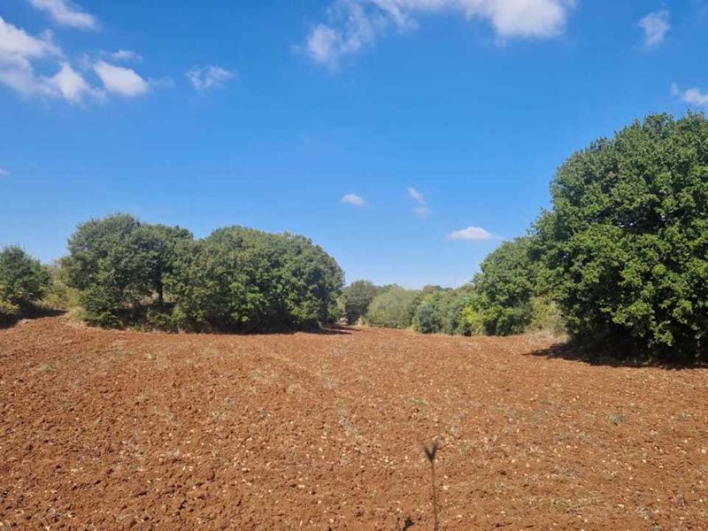 Terreno agricolo in Vendita a Monopoli, zona COLLINA, 13'000€, 8537 m²