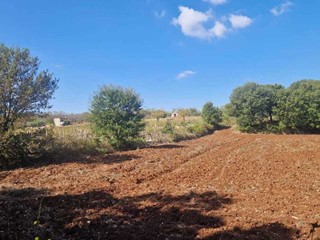 Terreno agricolo in Vendita a Monopoli, zona COLLINA, 13'000€, 8537 m²
