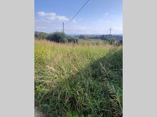 Terreno edificabile in Vendita a Terricciola, zona Chientina, 39'000€, 1000 m²