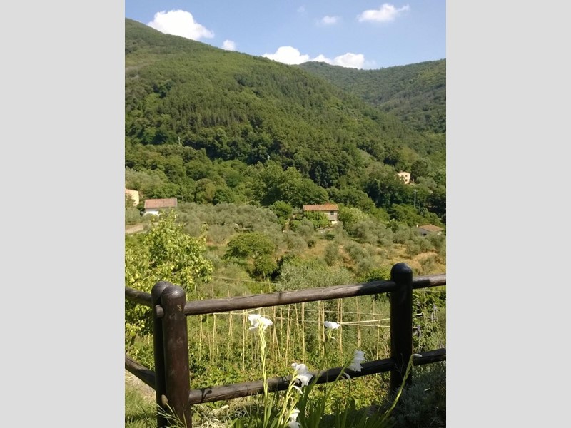 Terreno agricolo in Vendita a Calci, zona Castelmaggiore, 60'000€, 1500 m²