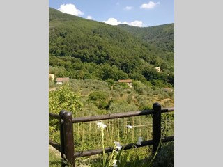 Terreno agricolo in Vendita a Calci, zona Castelmaggiore, 60'000€, 1500 m²