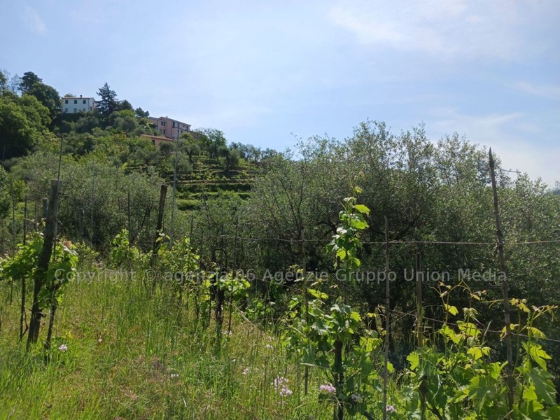 Terreno edificabile in Vendita a Arcola, 70'000€, 