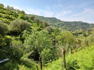 Terreno edificabile in Vendita a Arcola, 70'000€, 