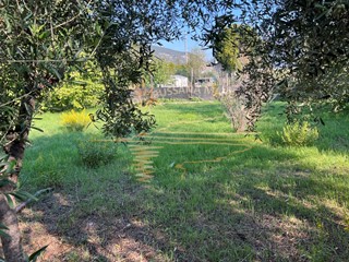 Terreno agricolo in Vendita a Taggia, 45'000€, 1000 m²