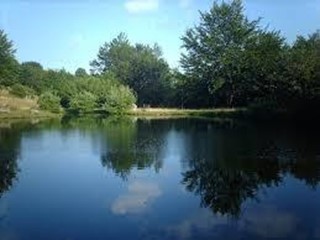 Bilocale in Vendita a Zeri, 46'000€, 53 m², arredato