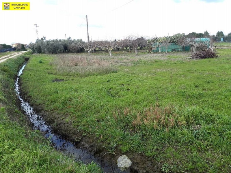 Terreno agricolo in Vendita a Cascina, zona San Frediano a Settimo, 35'000€, 4000 m²