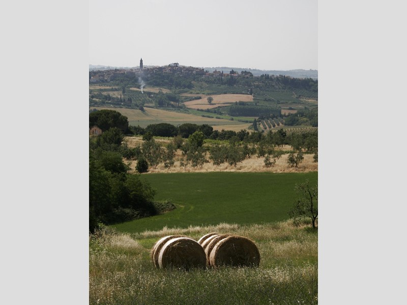 Terreno edificabile in Vendita a Peccioli, 50'000€, 600 m²