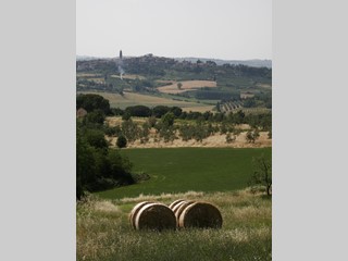 Terreno edificabile in Vendita a Peccioli, 50'000€, 600 m²