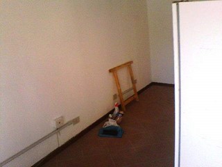 Immobile commerciale in Affitto a Pisa, 600€, 50 m²