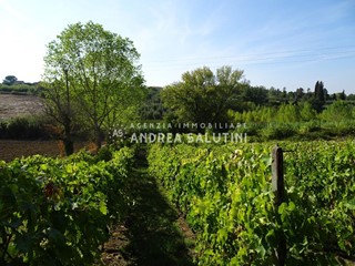 Terreno agricolo in Vendita a Capannoli, zona San Pietro In Belvedere, 25'000€, 6530 m²