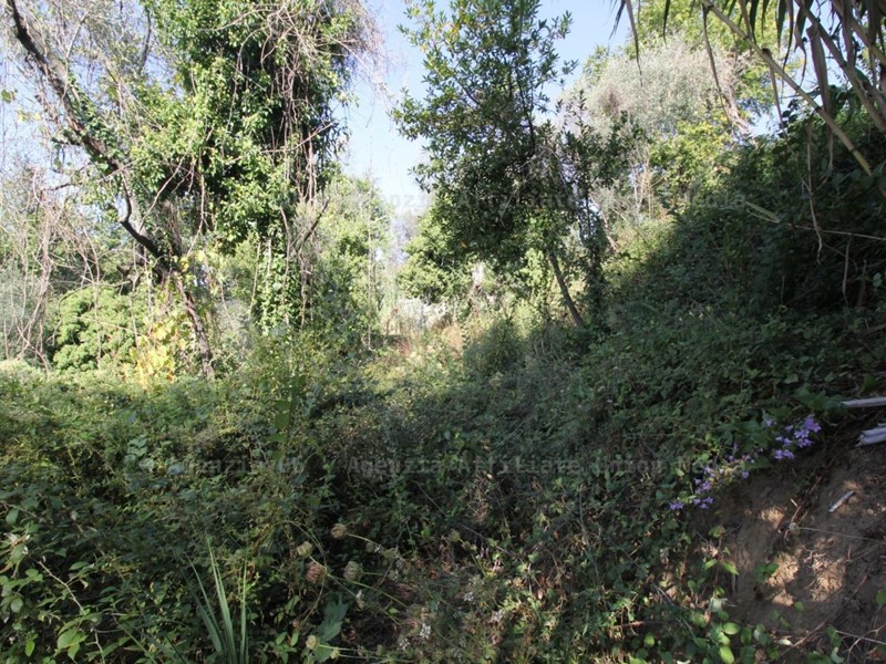 Terreno edificabile in Vendita a Vezzano Ligure, 75'000€, 135 m²