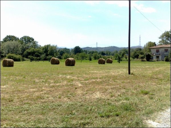 Terreno agricolo in Vendita a Sarzana, 49'000€, 5000 m²