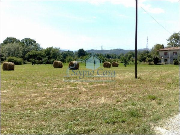 Terreno agricolo in Vendita a Sarzana, 49'000€, 5000 m²