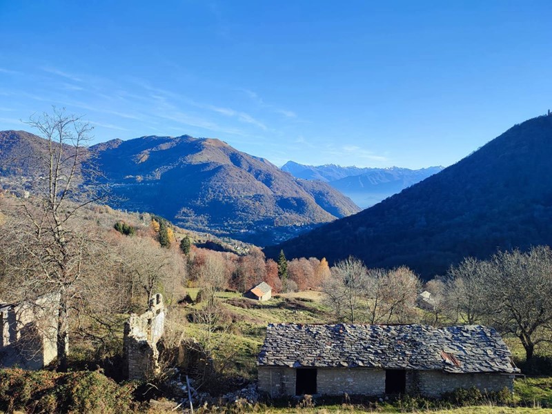Casale in Vendita a Cerano d'Intelvi, 62'000€, 24000 m²