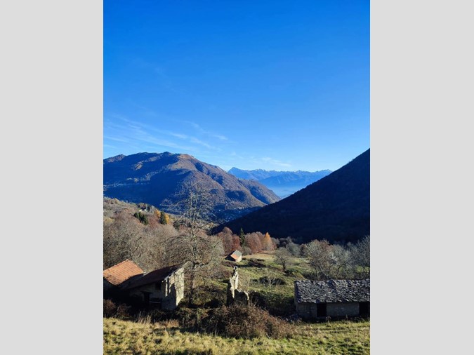 Terreno agricolo in Vendita a Cerano d'Intelvi, 75'000€, 22000 m²