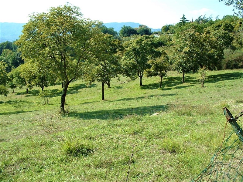 Terreno agricolo in Vendita a Barberino di Mugello, zona Le Maschere, 53'000€, 5000 m²