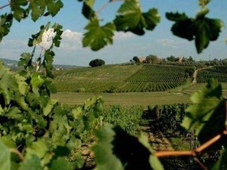 Casale in Vendita a Vinci, 1'500'000€, 2000 m²