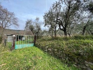 Terreno agricolo in Vendita a Lucca, zona Balbano, 70'000€, 1500 m²