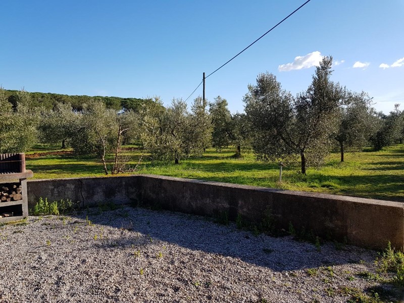 Terreno agricolo in Vendita a Piombino, zona Riotorto, 40'000€, 4235 m²