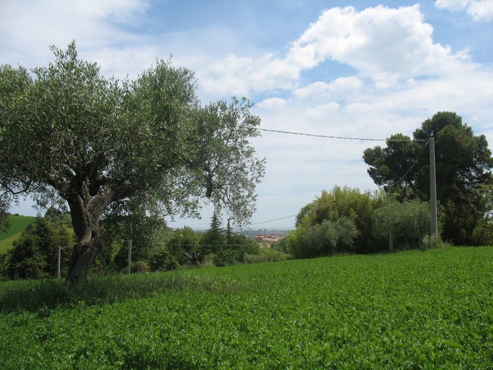 Terreno agricolo in Vendita a Spoltore, zona Villa Raspa, 280'000€, 33000 m²
