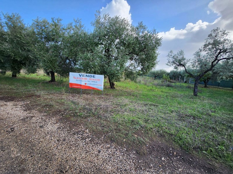 Terreno agricolo in Vendita a Lanuvio, 39'000€, 13700 m²