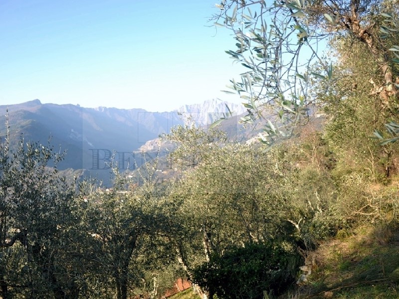 Rustico in Vendita a Pietrasanta, zona Capriglia, 390 m²