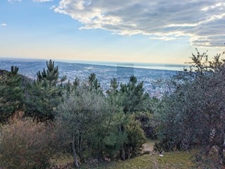 Rustico in Vendita a Pietrasanta, zona Capriglia, 390 m²