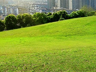 Terreno edificabile in Vendita a Milano, zona UNGHERIA, 3'300'000€, 10000 m²