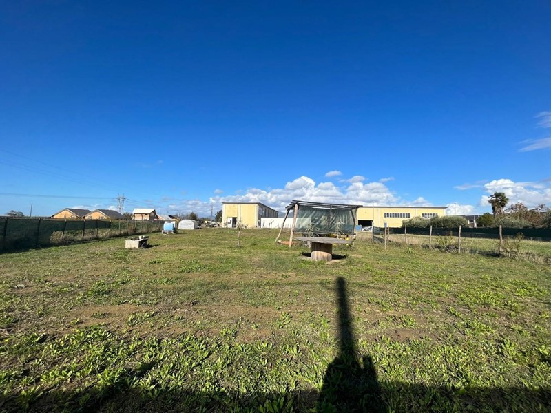 Terreno agricolo in Vendita a Crespina Lorenzana, zona Lavoria, 35'000€, 1800 m²