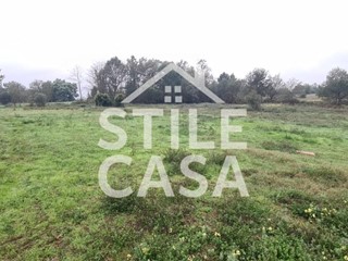 Terreno agricolo in Vendita a Castelfranco di Sotto, zona Orentano, 15'000€, 5970 m²