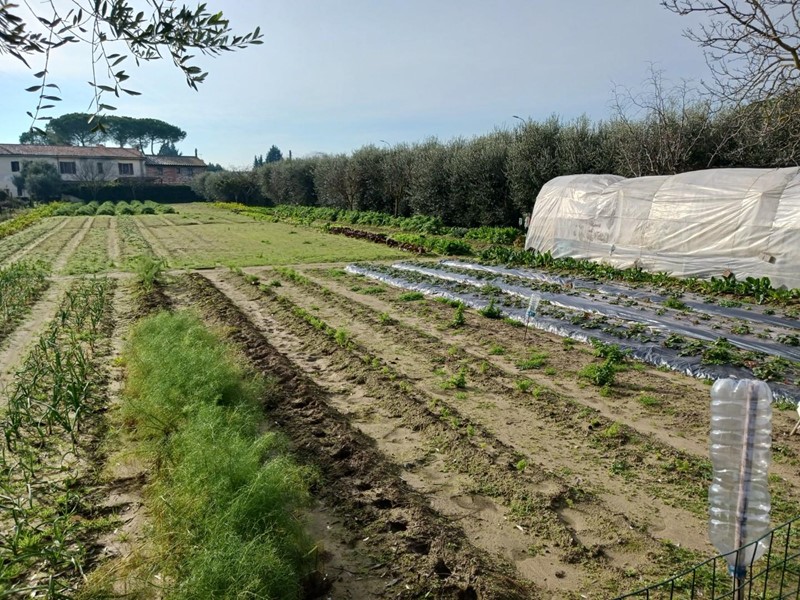 Terreno agricolo in Vendita a Pisa, zona Ospedaletto, 30'000€, 3800 m²