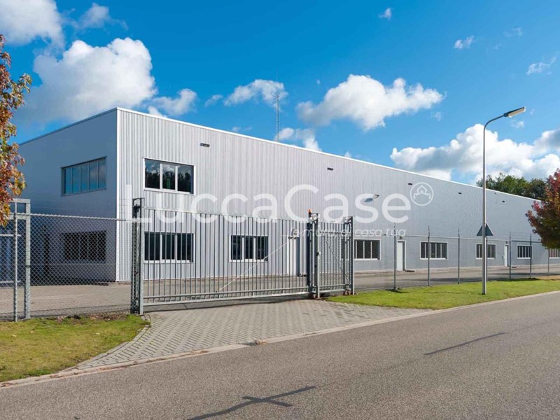 Capannone in Vendita a Vecchiano, zona Migliarino, 7'700'000€, 9000 m²