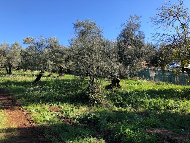 Terreno edificabile in Vendita a Marcellina, 70'000&euro;, 