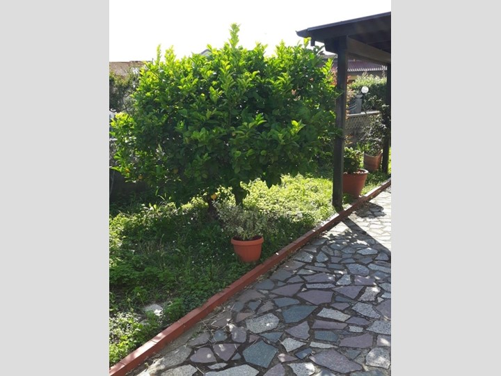 Casa Indipendente in Vendita a Carrara, zona Fossone, 240'000€, 170 m²