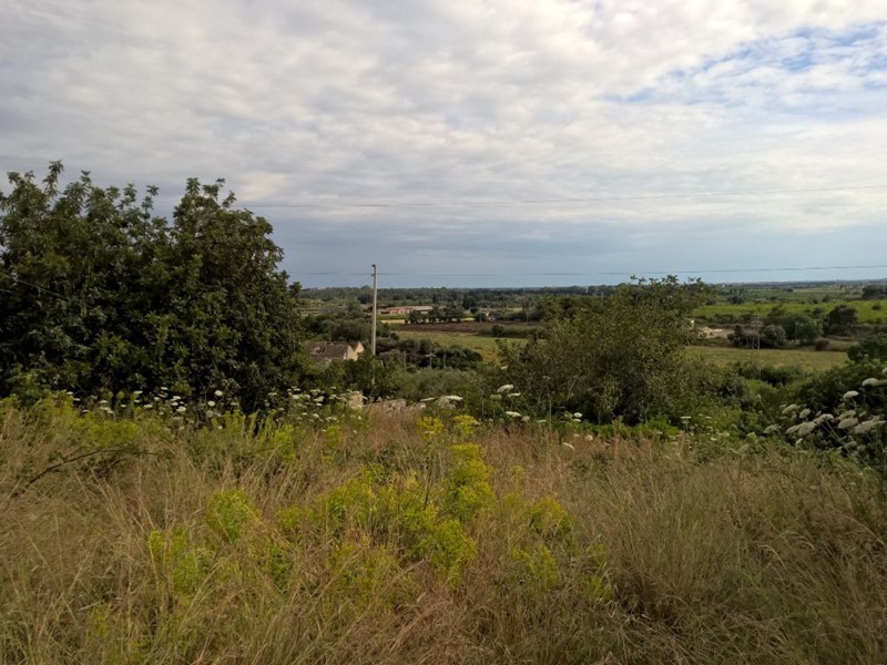 Terreno agricolo in Vendita a Siracusa, zona Belvedere CittÃ  Giardino, 25'000€, 2400 m²