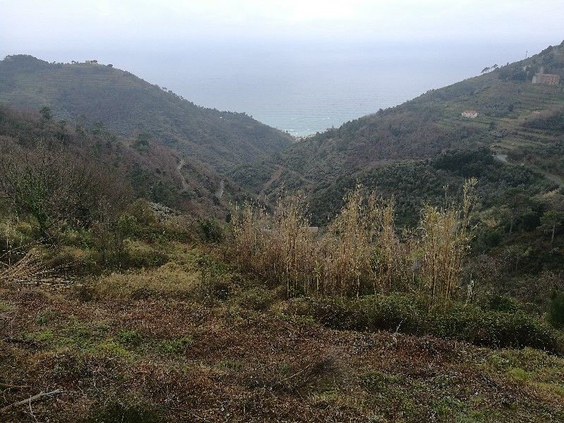 Casa di corte in Vendita a Vernazza, 64'000€, 15 m²