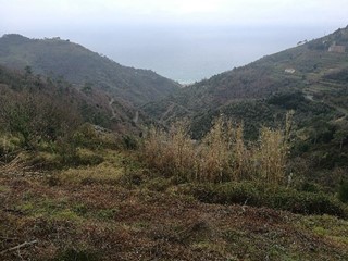 Casa di corte in Vendita a Vernazza, 64'000€, 15 m²