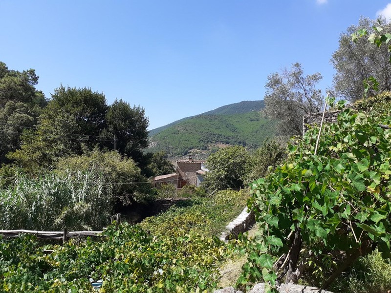 Box in Vendita a Calci, 78'000€, 177 m²