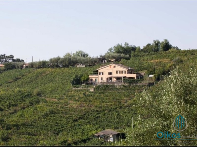 Attività commerciale in Vendita a Massa, zona Romagnano, 800'000&euro;, 5275 m²