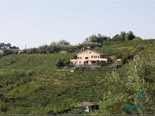 Attività commerciale in Vendita a Massa, zona Romagnano, 800'000&euro;, 5275 m²