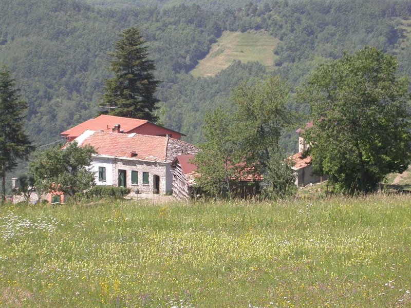 Attività commerciale in Vendita a Varese Ligure, 980'000€, 950 m²