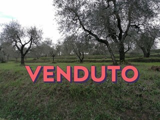 Terreno agricolo in Vendita a Casciana Terme Lari, zona Orceto, 12'000€, 3975 m²